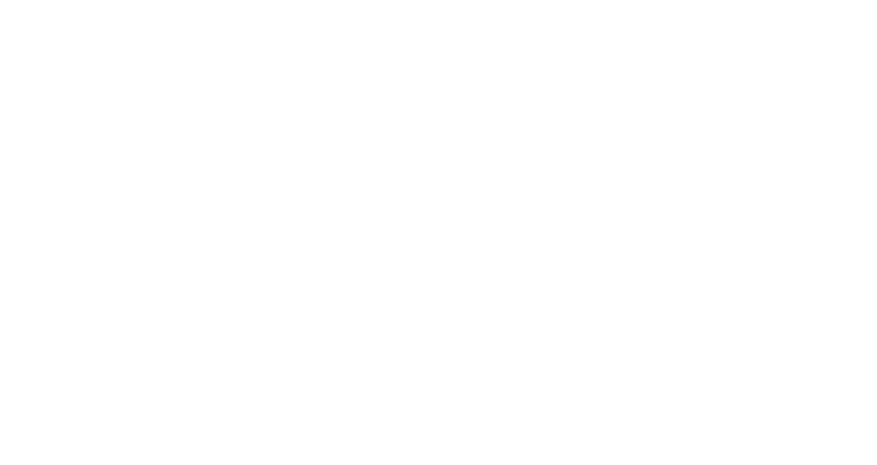 VeoVeo